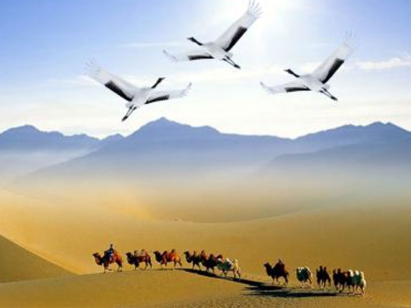 网上怎么办理手机号码选号