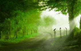 想要换靓号的朋友赶快来吧！今天给大家带来的号码是深圳联通的13113877777大五连，一起看看。