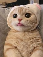 中国联通号段暂时有:130号段、131号段、132号段、155号段、156号段、185号段、186号段、140号段、145号段、146号段,131号段、132号段、155号段、156号段、185号段、186号段、145号段、146号段、166号段、167号段、175号段、176号段。