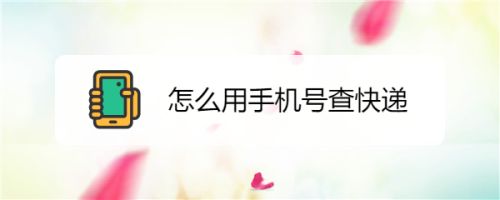 怎么用手机号查快递